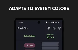 FlashDim screenshot 2