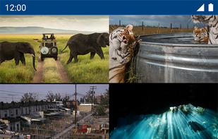 National Geographic for Muzei screenshot 1