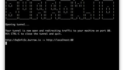 3. Now open a terminal and paste the command to start the tunnel. Once the tunnel is open you can access it using the URL generated.