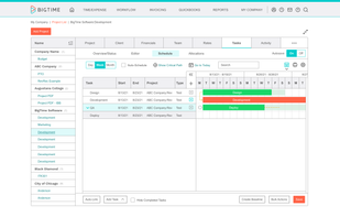 BigTime Software screenshot 3