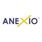 Business IT Solutions - ANEXIO icon