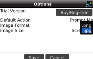 Options: Save as PNG or JPG