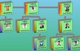 Shaded organization charts.