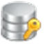SQL Server Password Changer icon
