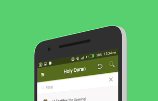 Holy Quran for Android screenshot 2