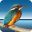 highlight icon