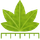 Digimizer icon