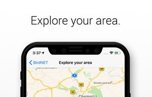 BirdNET screenshot 3