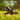 Real Drone Simulator icon