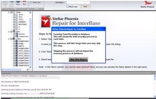 Stellar Phoenix Repair for InterBase screenshot 3