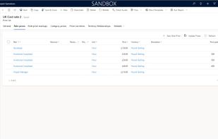 PM can define different cost and sales prices based on resources working experience for the same role.
