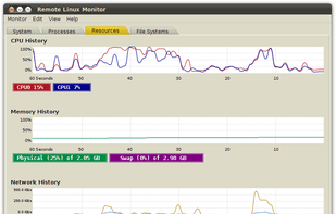 remote linux monitor screenshot 2