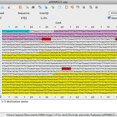 Highlights and draws graphic maps using feature annotations from genbank and embl files