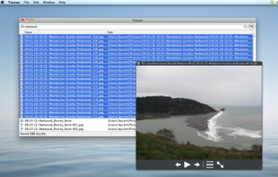 Toucan Search has many features: quick look, reveal in finder, open a terminal, copy path, copy filename, etc