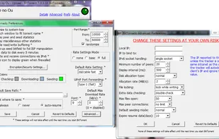 BitTornado screenshot 1