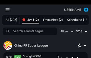 CornerPro screenshot 2