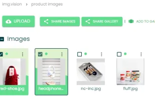 Image grid view with share options