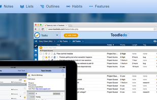 Toodledo screenshot 1