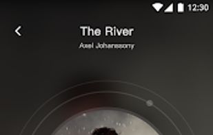 Insight Music Downloader screenshot 2