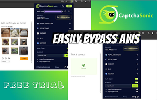 bypass awswaf captcha