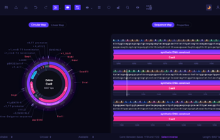 View your plasmid maps in dark mode