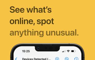 Netsbee screenshot 2