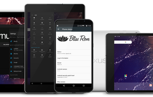 Bliss Os screenshot 2