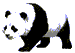 Panda-Sql icon