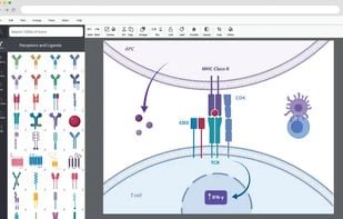 BioRender screenshot 1