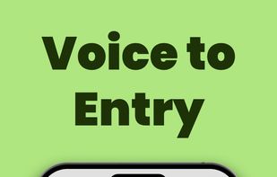 Add a loan by speaking naturally—names, amount, category, and date are filled in automatically.