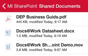 MobileIron screenshot 1