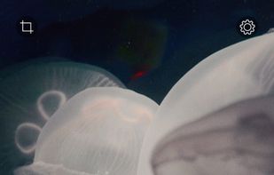 RNI Colibri screenshot 1