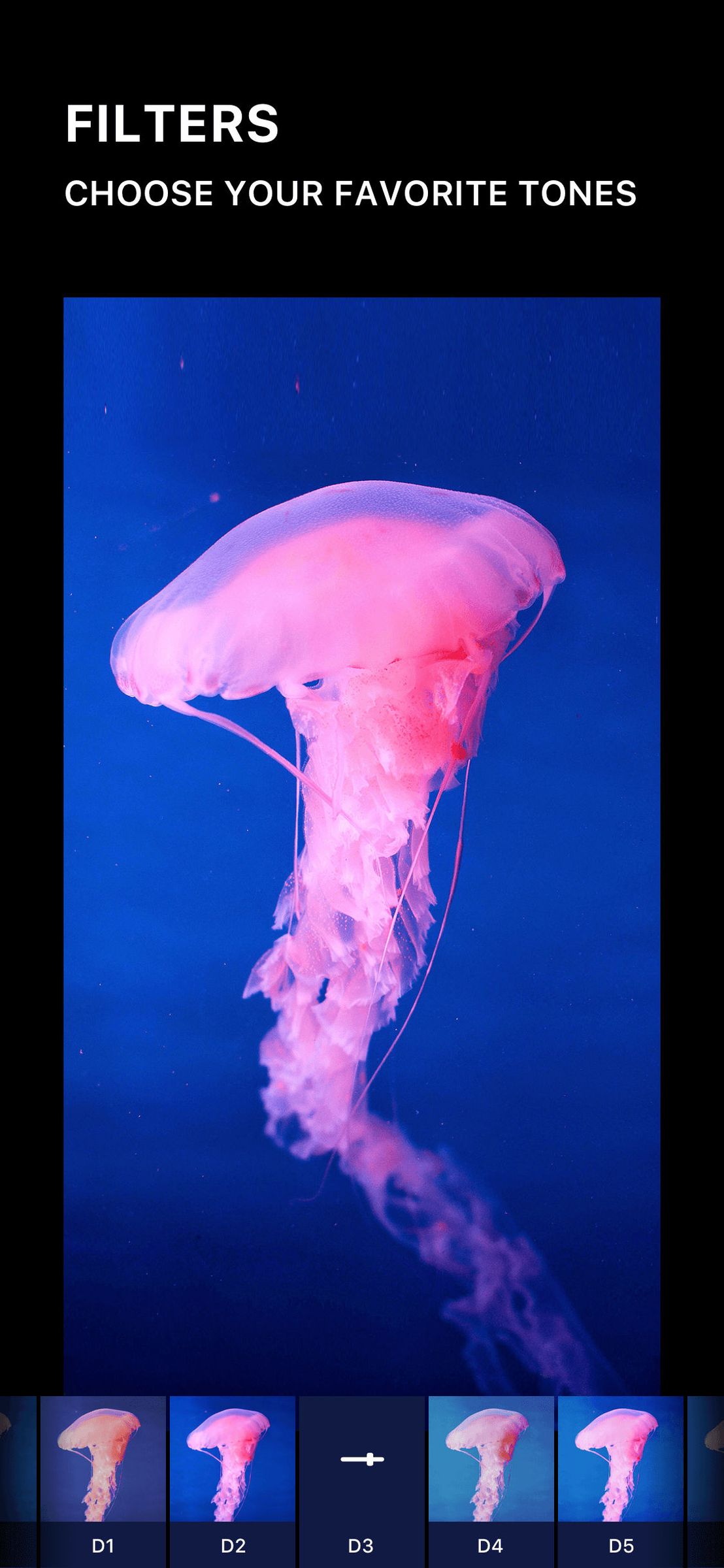 Artist - We are all artists Alternatives and Similar Apps | AlternativeTo