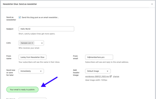 Newsletter Glue screenshot 1
