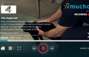 TVMucho screenshot 3