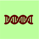 U.S. Surname Rank Checker icon