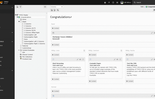 The TYPO3 v9 backend. From the left: 1st column are the modules; 2nd column is the page tree and 3rd column usually display the editable contents of the selected page.