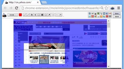 Webpage Screenshot screenshot 1