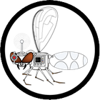 Hoverfly icon