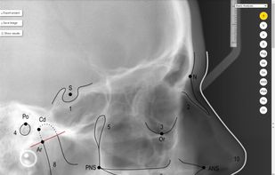 365Apex screenshot 3