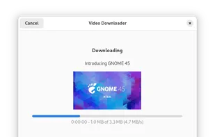 Video Downloader (for Linux) screenshot 1