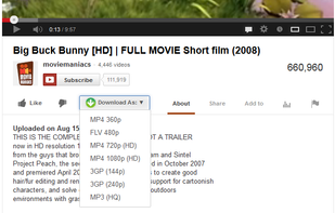 Easy Youtube Video Downloader Express screenshot 1