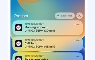 Prosper screenshot 1