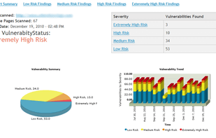 Sample online report