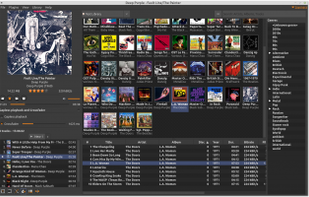 Sayonara Player screenshot 1