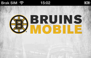 Boston Bruins screenshot 1
