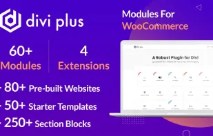 Divi Plus screenshot 1