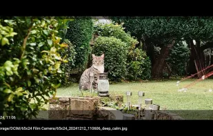 65x24 Film Camera screenshot 2