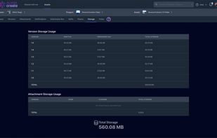 Version storage management