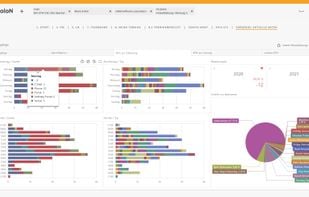 EcholoN Client
Rolle: IT Service Management Reporting Dashboard